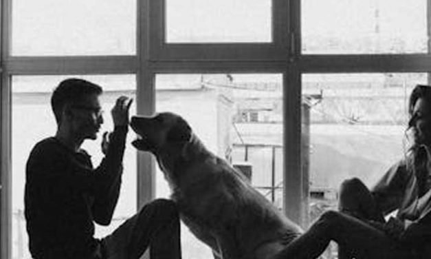 Your Dog Will Not Listen If You Don’t Lead