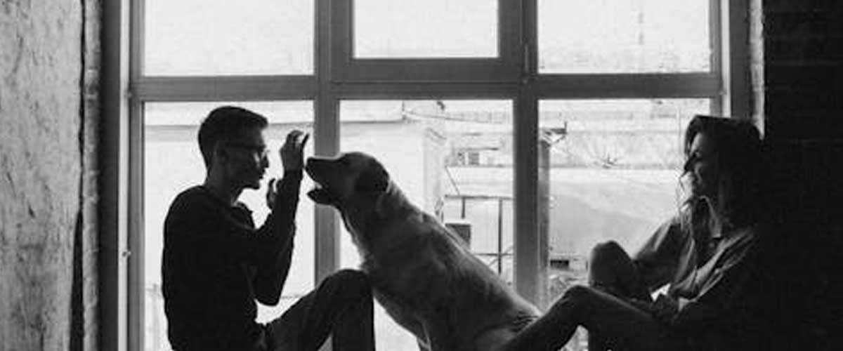 Your Dog Will Not Listen If You Don’t Lead