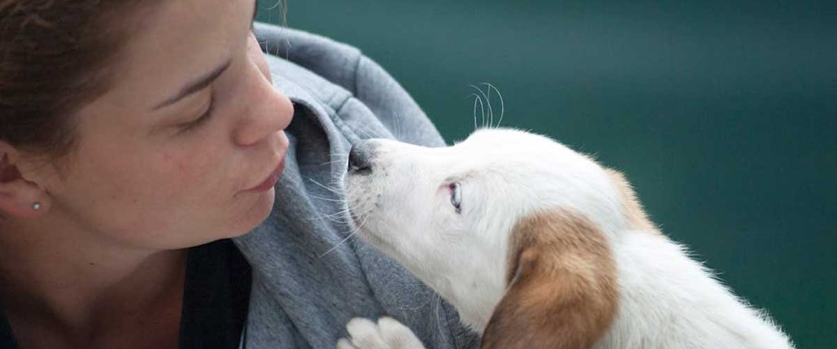 All Dog Owners Need to Question Pet Care Providers Before Using Them
