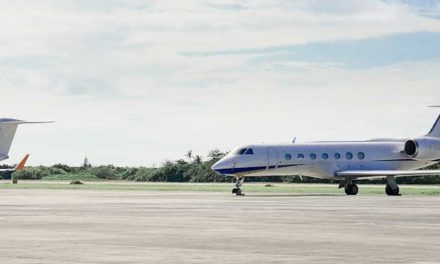 How to Help Your Dog on a Private Jet Flight