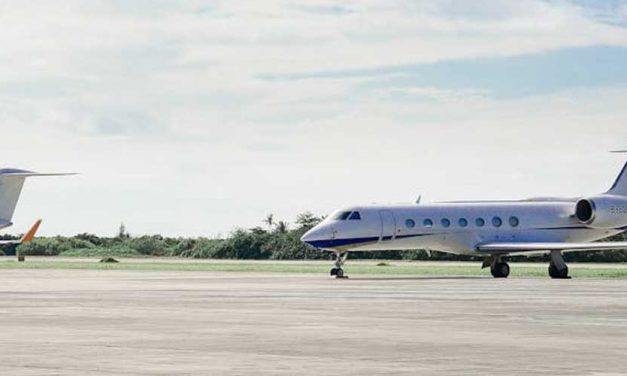 How to Help Your Dog on a Private Jet Flight