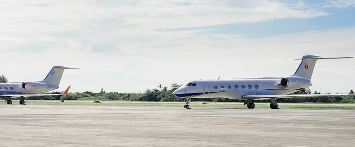 How to Help Your Dog on a Private Jet Flight