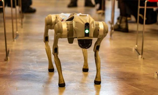 Would You Allow Your Dog to Be Walked by a Robot or Drone?