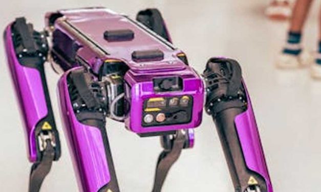 Would You Let Your Dog Interact with an AI Robot Dog?