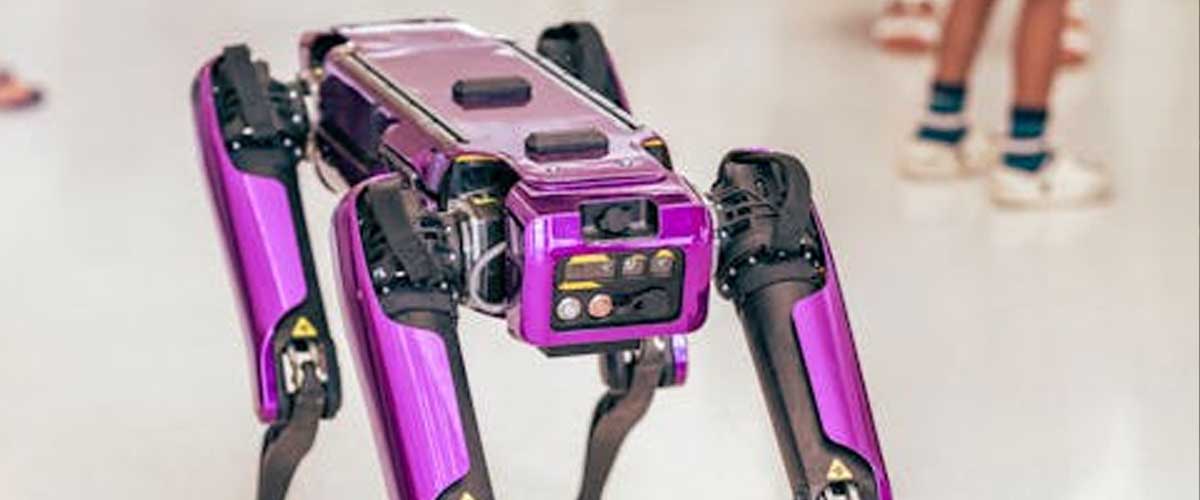 Would You Let Your Dog Interact with an AI Robot Dog?