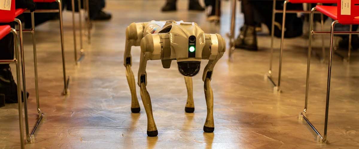 Would You Allow Your Dog to Be Walked by a Robot or Drone?