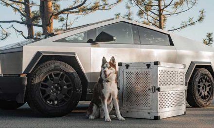 Can the Tesla Robot Walk a Dog?