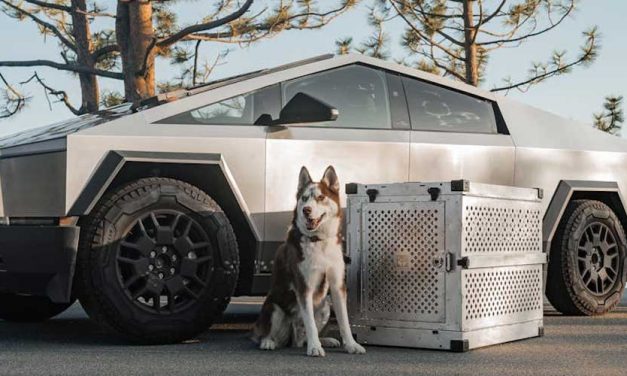 Can the Tesla Robot Walk a Dog?