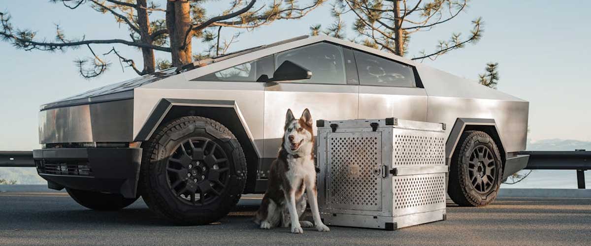 Can the Tesla Robot Walk a Dog?