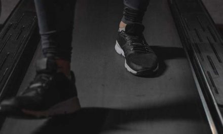 The Pros and Cons of Walking Your Dog on a Treadmill