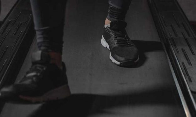 The Pros and Cons of Walking Your Dog on a Treadmill