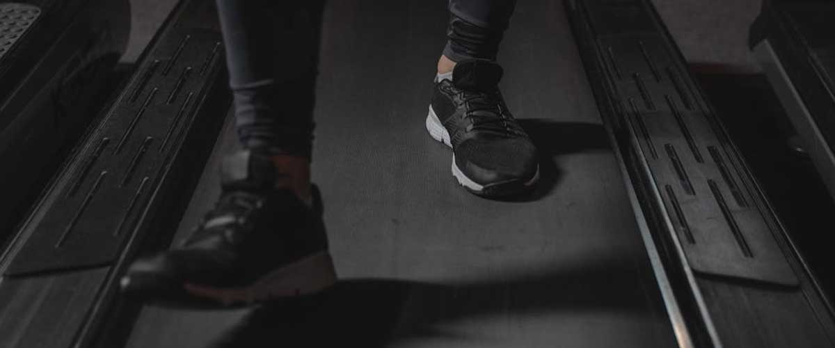 The Pros and Cons of Walking Your Dog on a Treadmill