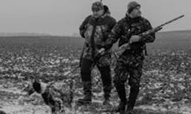 The Role of Dogs in World War II