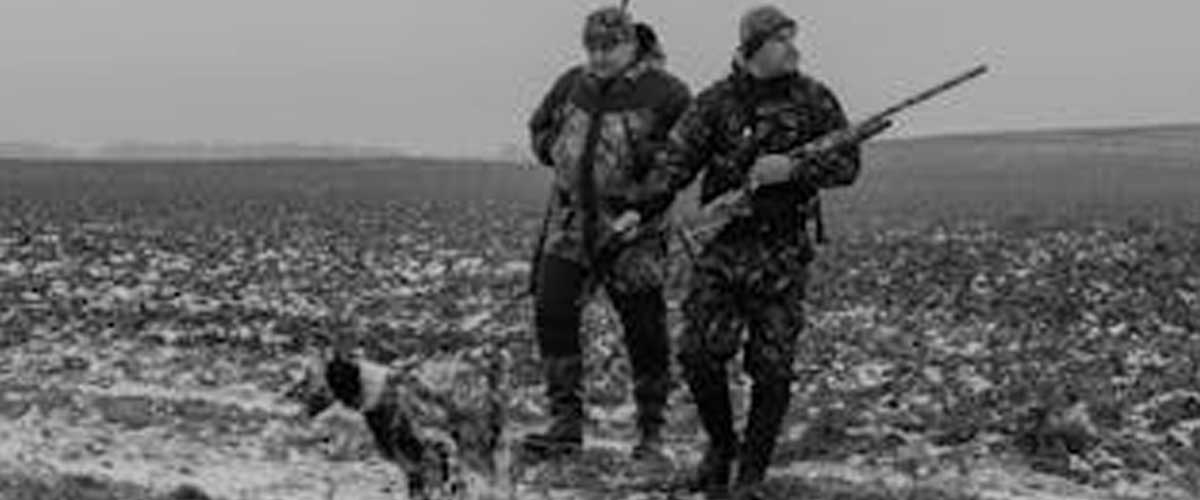 The Role of Dogs in World War II