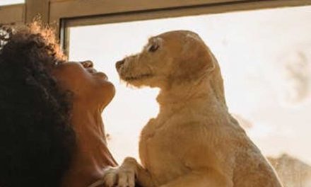 Growing an Affinity with Your Dog: Building a Lifelong Bond