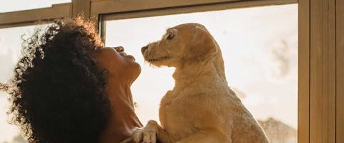 Growing an Affinity with Your Dog: Building a Lifelong Bond