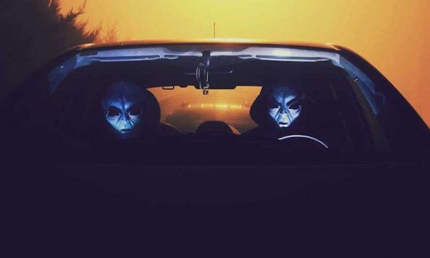 Has a Dog Ever Been Abducted by Aliens?