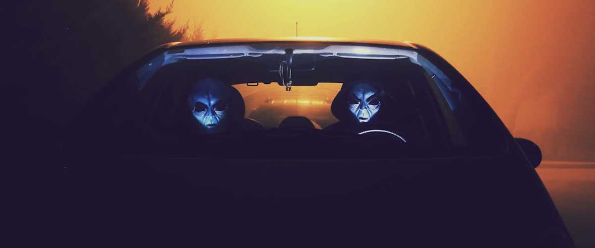 Has a Dog Ever Been Abducted by Aliens?