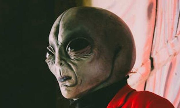 The Curious Case of the Canine Abduction: A Dog Stolen by Aliens?