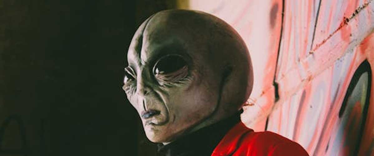 The Curious Case of the Canine Abduction: A Dog Stolen by Aliens?