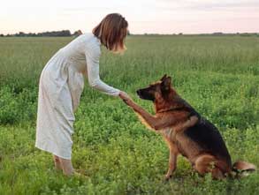 clicker training for puppies outside and inside