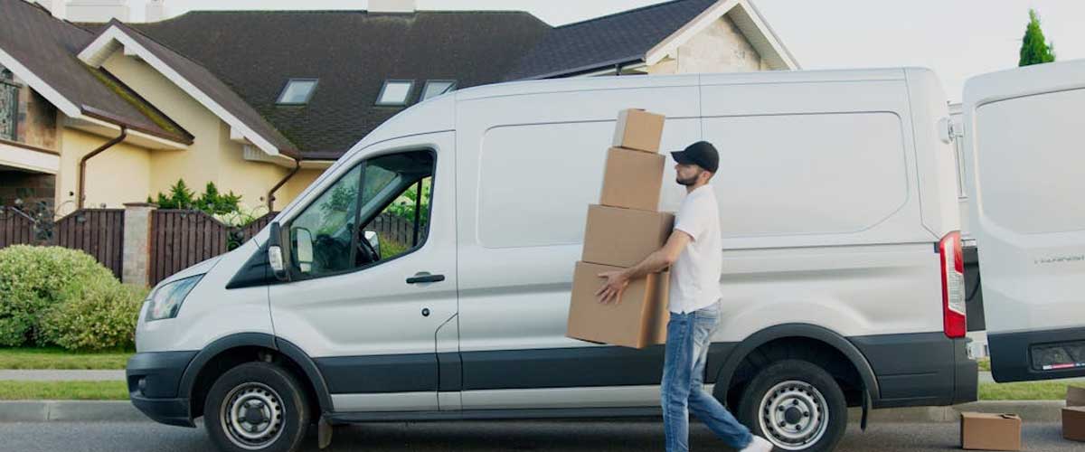 Dog Behavior Around Delivery People To Your House