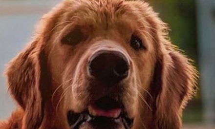 Understanding Dog Bone Growth: A Guide for Pet Owners