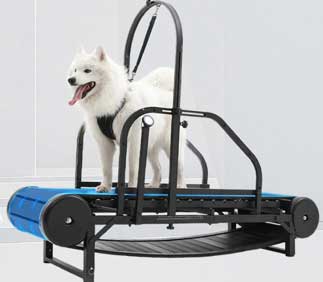 indoor dog walking treadmill specially made for dogs only