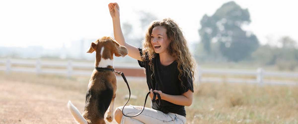 Unique Methods of Dog Training: Exploring Innovative Techniques