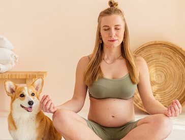 dog yoga is a great way to bond with your dog