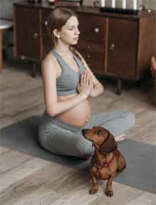 dog yoga is a perfect exercises for dog and owner