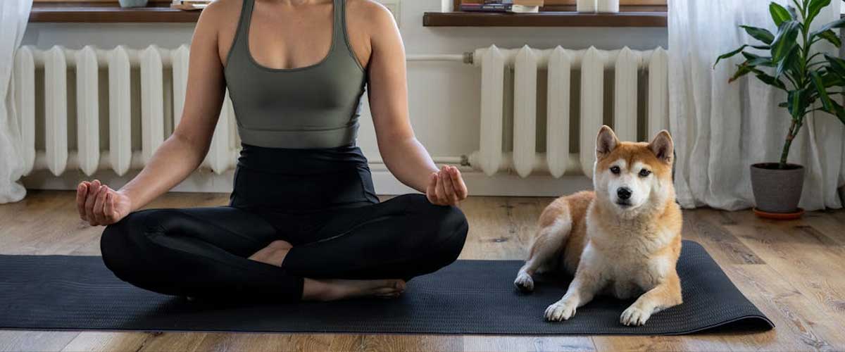 Dog Yoga: The Perfect Harmony of Mind, Body, and Paws