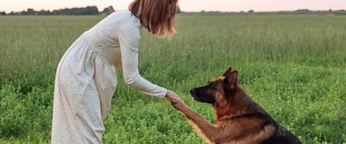 How to Exercise with Your Dog: A Win-Win Solution