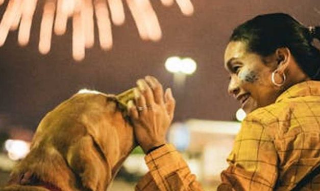 Dog Walking Before The Fireworks Start