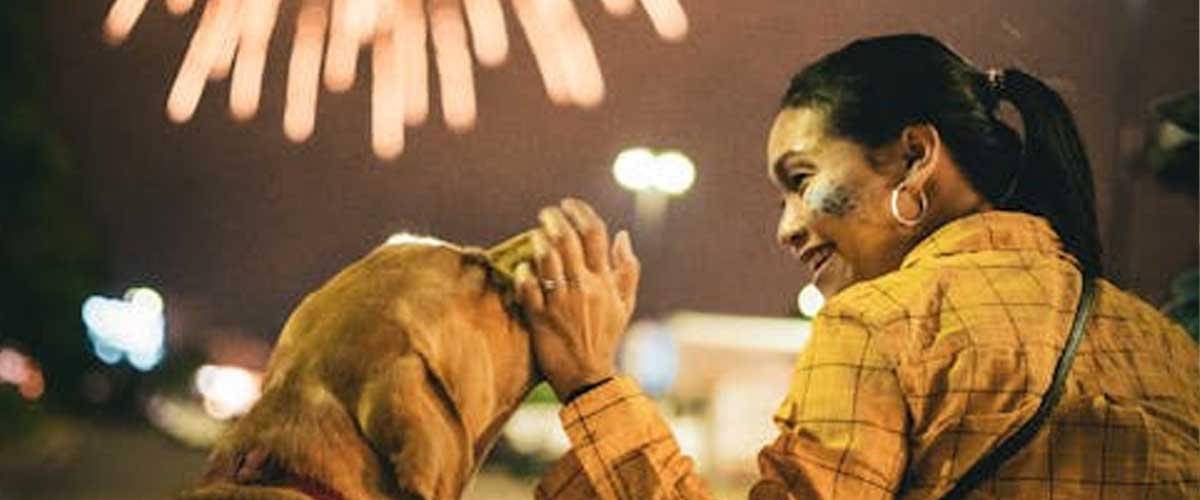 Dog Walking Before The Fireworks Start