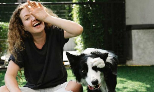 Where Heel Nipping Comes From: The Natural Herding Instinct