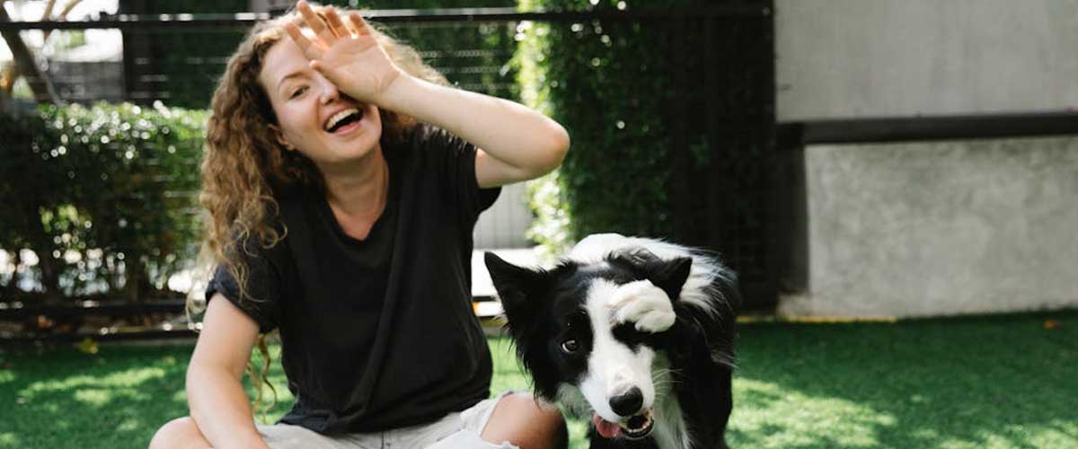 Where Heel Nipping Comes From: The Natural Herding Instinct