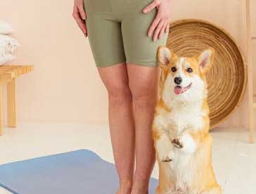 indoor dog training and exercise