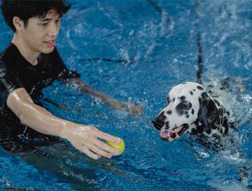 indoor training and exercise in your own pool