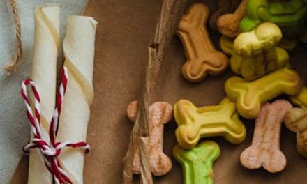 Is Rawhide Any Good for Your Dog?