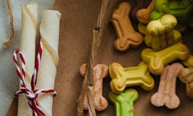 Is Rawhide Any Good for Your Dog?