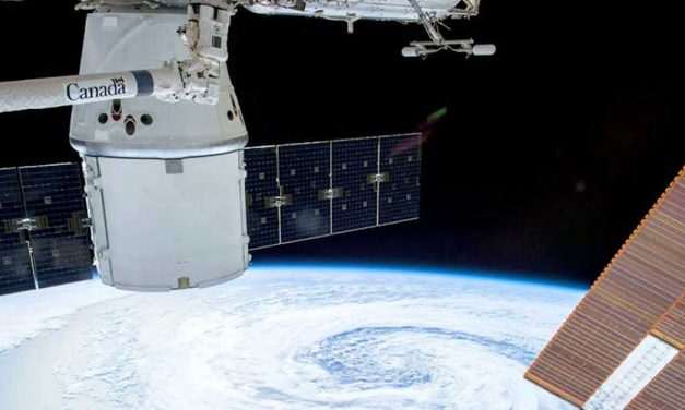 How Would a Dog Cope Being on the International Space Station (ISS)?