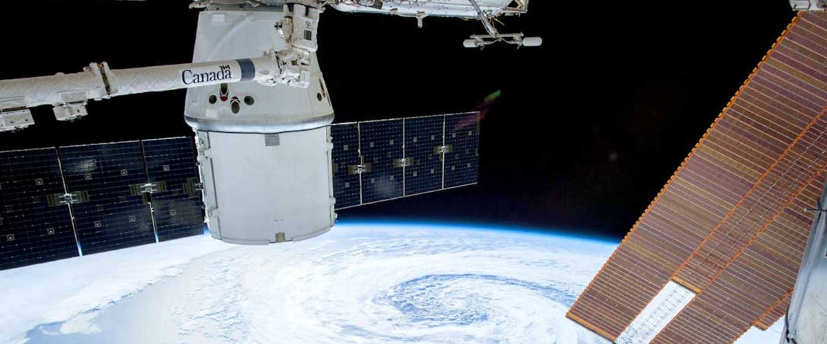 How Would a Dog Cope Being on the International Space Station (ISS)?