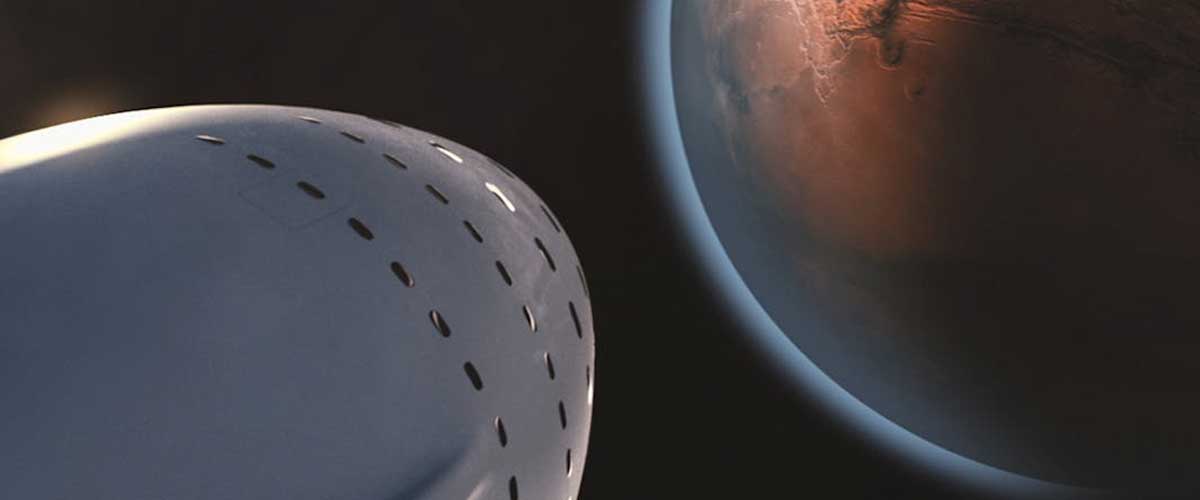 How Would a Dog Cope in a Mars Colony?