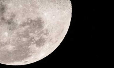 Could a Dog Survive in a Moon Colony?