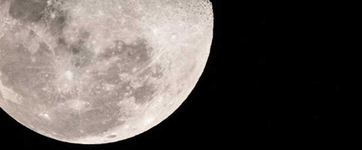 Could a Dog Survive in a Moon Colony?