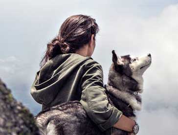 mountain dog walking is a lovely experience