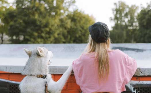 positive reinforcement for your dog