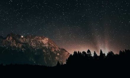 Space Travel and Exploration: The Role of Dogs in History