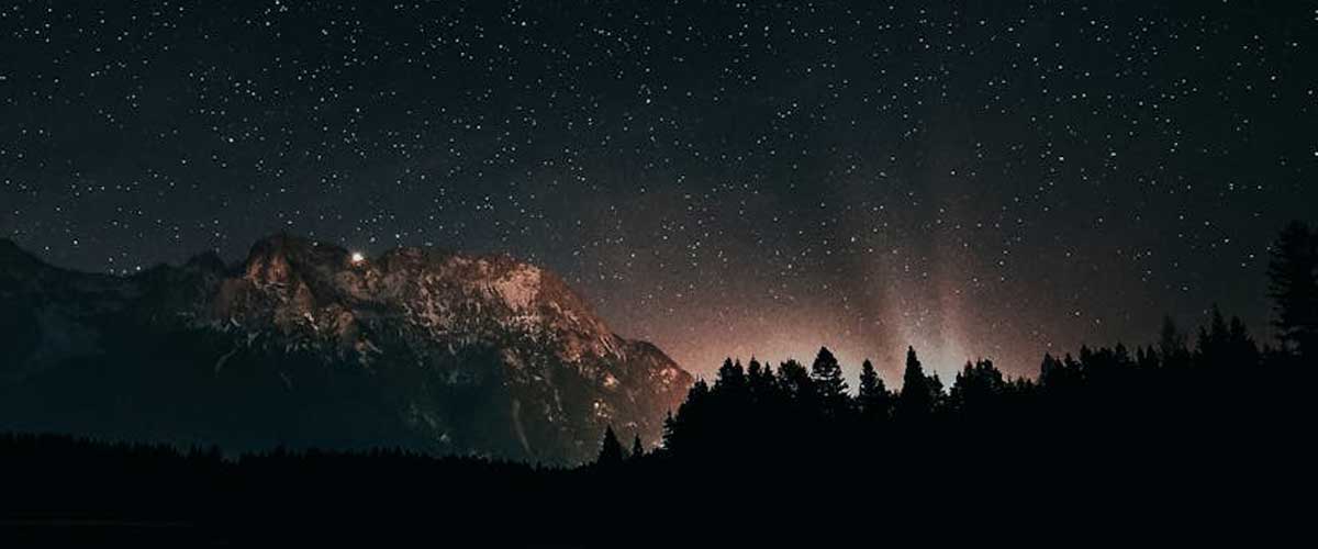 Space Travel and Exploration: The Role of Dogs in History